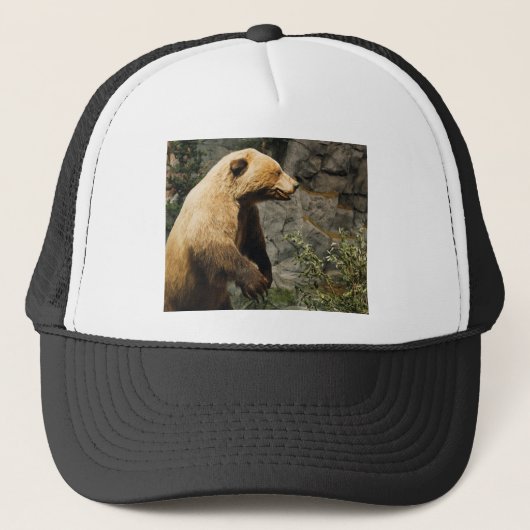 Casquette Fière Ours (Devant)