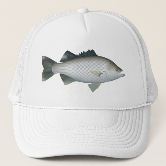 Casquette Flagtail Rock (Devant)