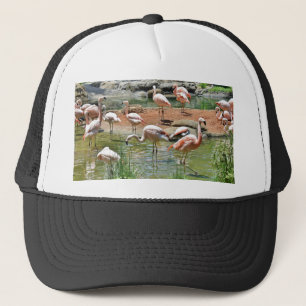 Casquette Flamant rose rose