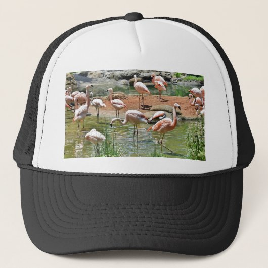 Casquette Flamant rose rose (Devant)