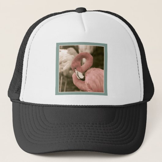 Casquette Flamingo (Devant)