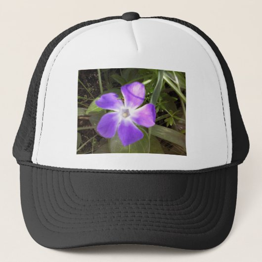 Casquette Fleur sauvage californien (Devant)