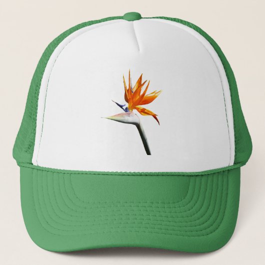 Casquette Fleur tropicale orange oiseau de paradis (Devant)