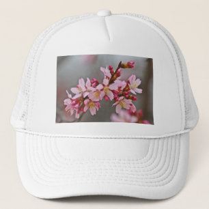 Casquette Fleurs de cerisier japonaises roses sur un ciel gr