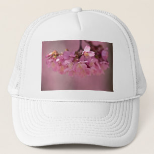 Casquette Fleurs de cerisier Source thermale Vêtements & Ca