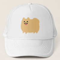Fluffy Pomeranian mignon chien