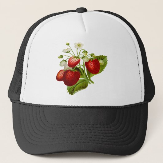 Casquette Food fruit leaf leafy (Devant)