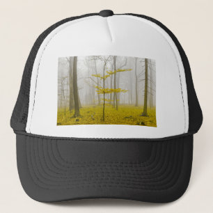 Casquette Forêt fantaisiste avec brouillard et feuilles jaun