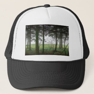 Casquette Forêt surplombant la clairière dans le brouillard