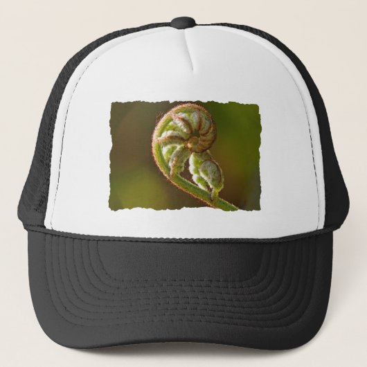 Casquette Fougère de Fiddlehead (Devant)