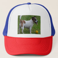 Fox Terrier Avec Son Bal Jaune, Chapeau De Camion