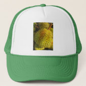 Casquette Fruit durian (Devant)