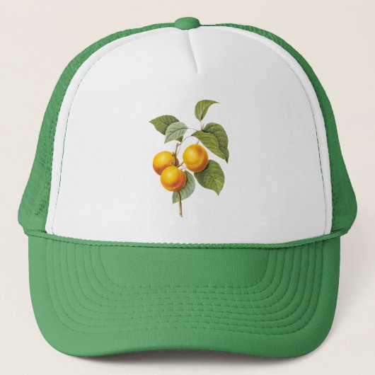 Casquette Fruit vintage, Pêche à l'abricot par Redoute (Devant)