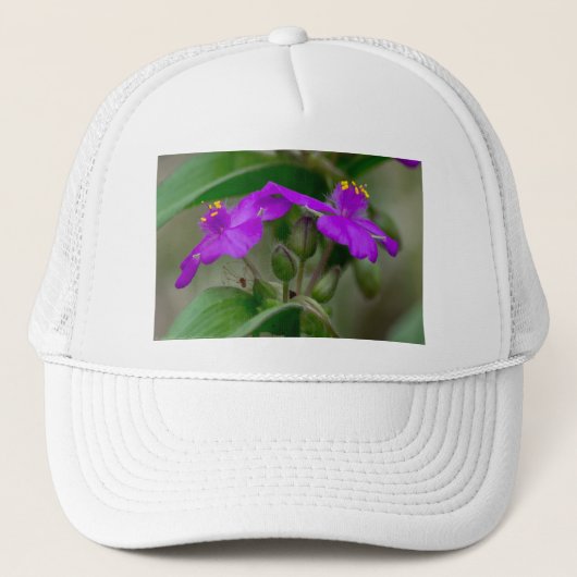 Casquette Fuchsia Spiderwort Twins Fleur sauvage Cadeaux Vêt (Devant)