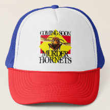 Fun Meurtre Hornets