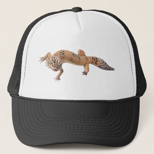 Casquette Funny Léopard Gecko (Devant)