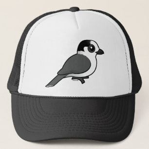 Casquette Geai gris