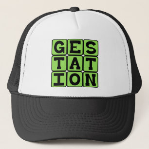 Casquette Gestation, Processus de Grossesse