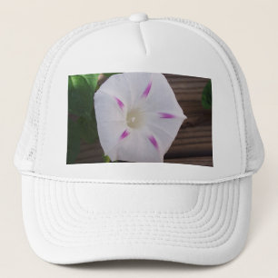 Casquette Gloire du matin