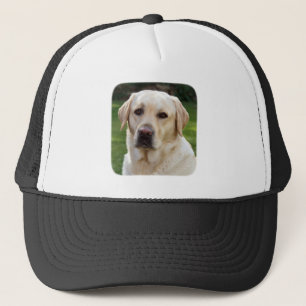 Casquette Golden Retriever Basball / Trucker Hat