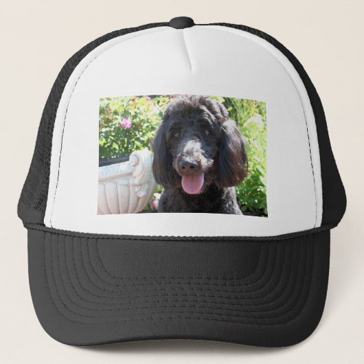 Casquette GoldenDoodle Abby 1 (Devant)