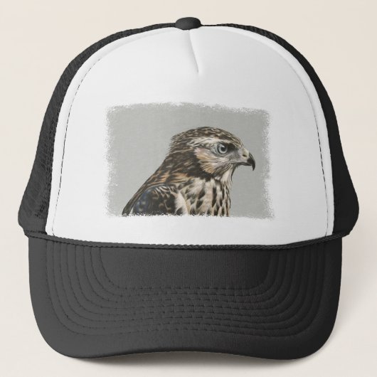 Casquette Goshawk immature (Devant)