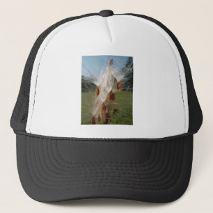 Casquette Graines flottantes d'algue Art Imprimer/Graphique
