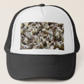 Casquette Graisses Bio - Un Superaliment Emballé De Nutrimen (Devant)