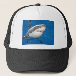 Casquette Grand requin blanc