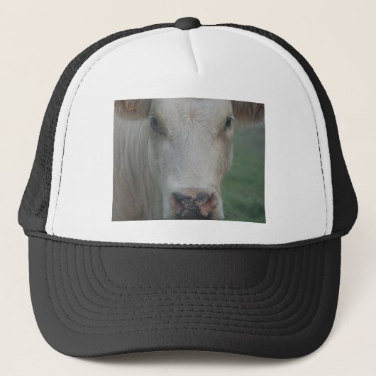 Casquette Grande tête de vache (Devant)