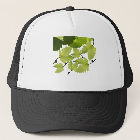 Casquette Grape Vine Green Leaves (Devant)