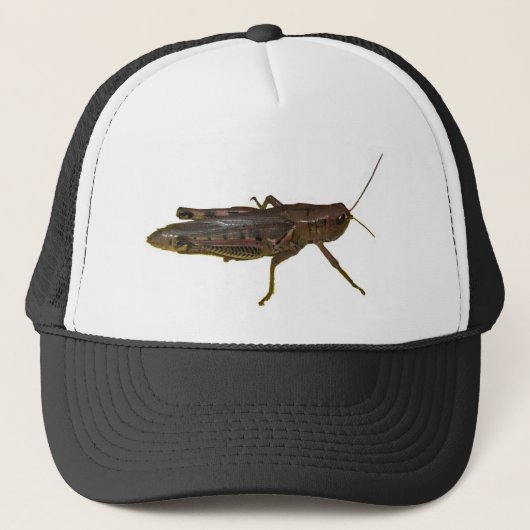 Casquette Grasshopper (Devant)