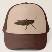 Casquette Grasshopper Design (Devant)