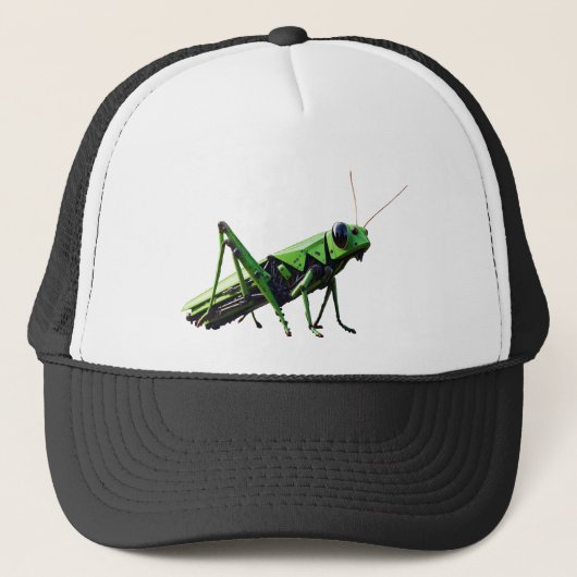 Casquette Grasshopper mécanique (Devant)