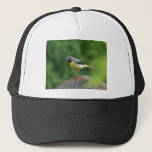 Casquette Gray Wagtail - oiseau