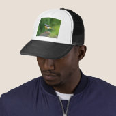 Casquette Gray Wagtail - oiseau (En situation)