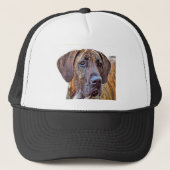 Casquette Great dane (Devant)