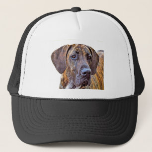 Casquette Great dane