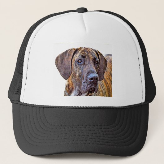 Casquette Great dane (Devant)