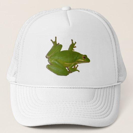 Casquette Green Treefrog (Devant)