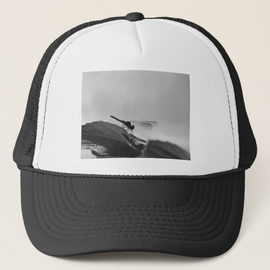 Casquette Gris écaille libellule (Devant)