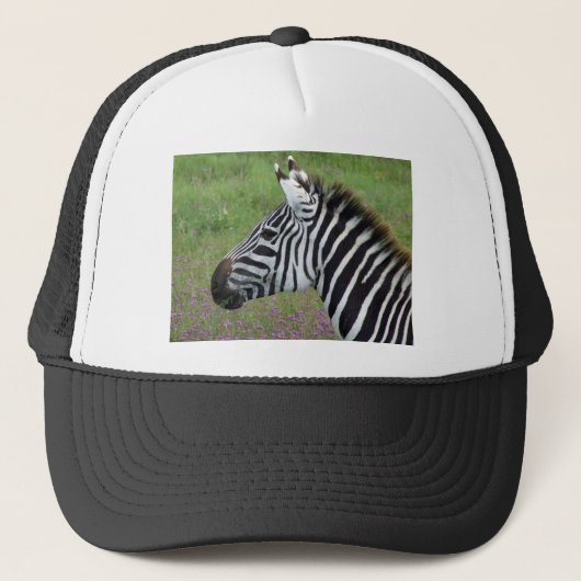 Casquette Gros plan de Ngorongoro Zebra (Devant)