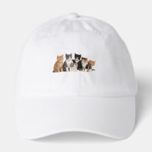 Groupe de chatons mignons et duveteux Autocollant