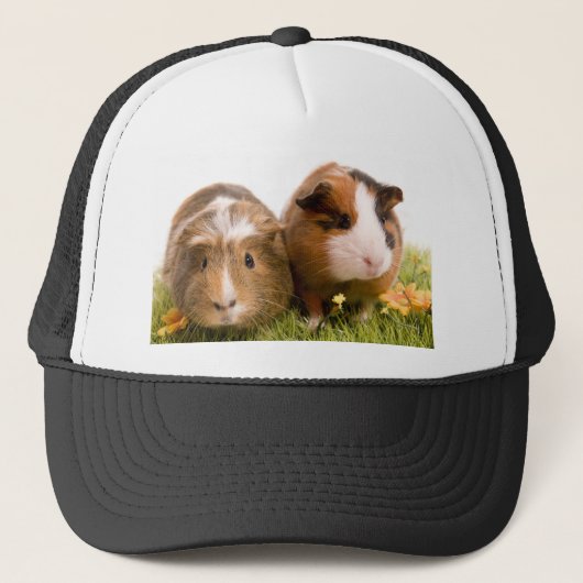 Casquette guinea pigs on a lawn (Devant)