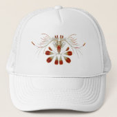 Casquette Haeckel (Devant)