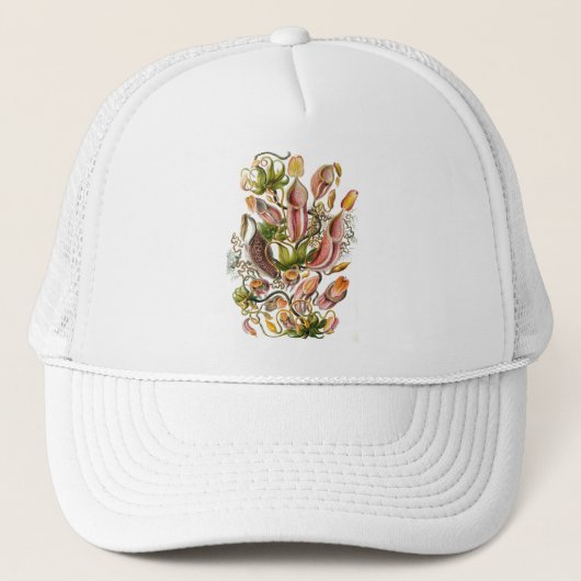 Casquette Haeckel (Devant)