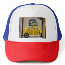 Hailing Adventures : The Taxi Travel Experience"