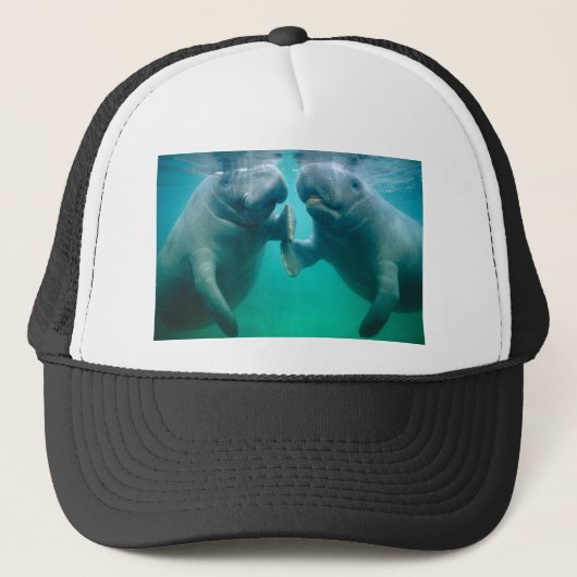Casquette haine de lamantin (Devant)