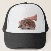 Casquette Hedgehog, (Devant)