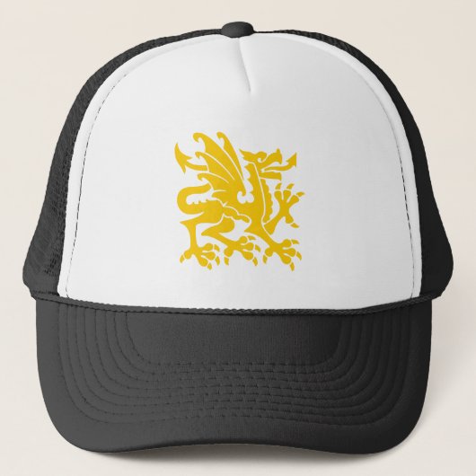 Casquette Heraldic Dragon 01 - Ambre (Devant)